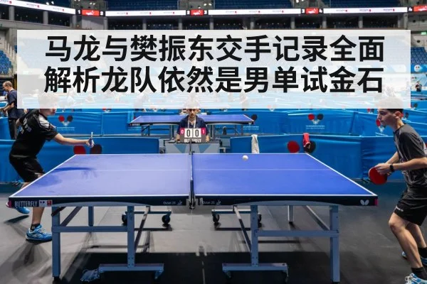 马龙与樊振东交手记录全面解析龙队依然是男单试金石